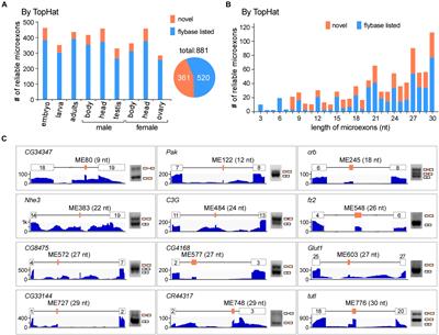 Comprehensive Identification and Alternative Splicing of Microexons in Drosophila